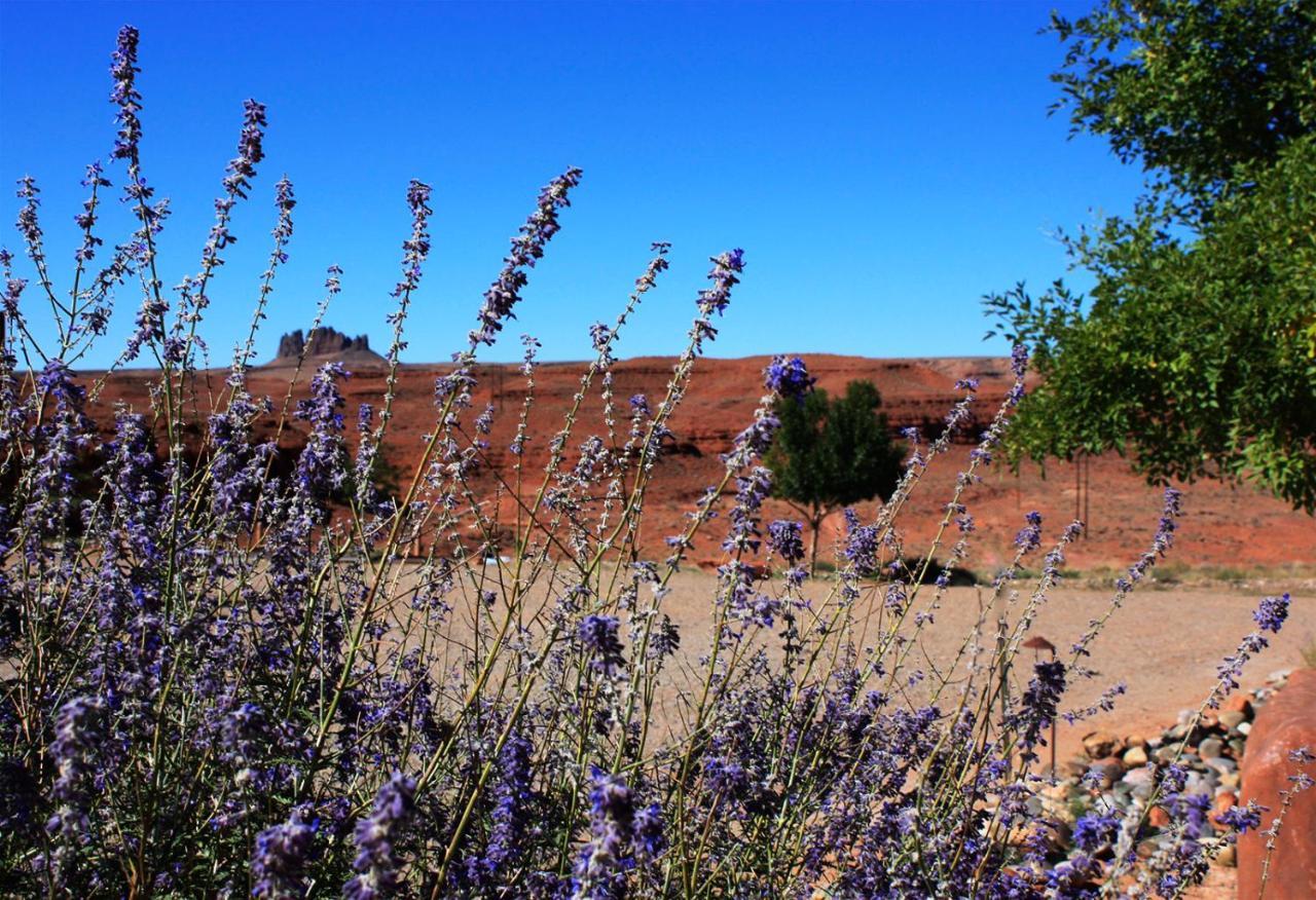 Hat Rock Inn Mexican Hat 외부 사진